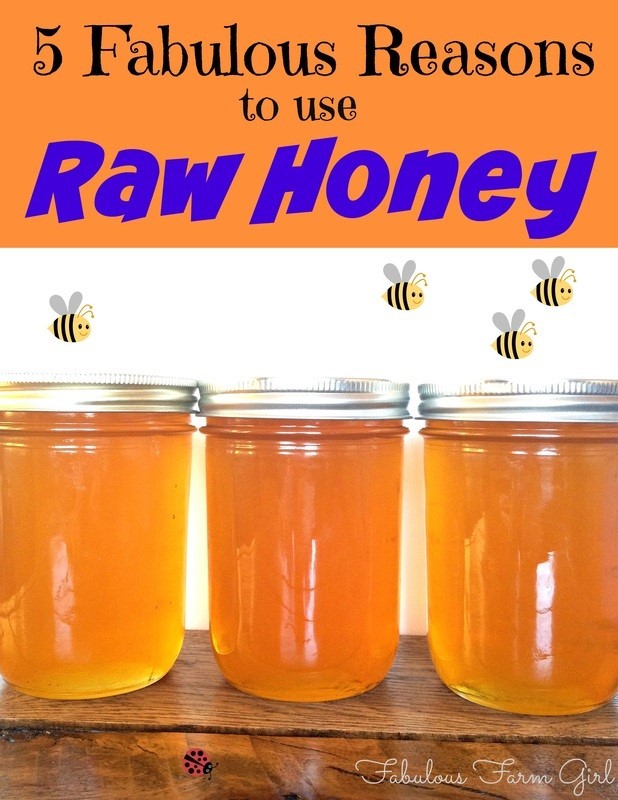  Honey Vs Sugar Tell TX 79259